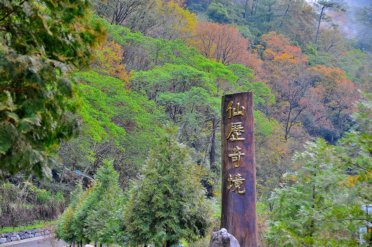 Basianshan Natural Forest